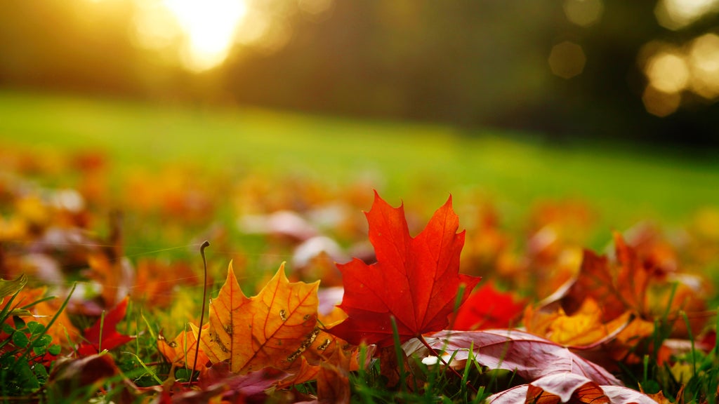 Summerlike warmth continues Wednesday in the Twin Cities — WCCO / CBS Minnesota, Excelsior Community news