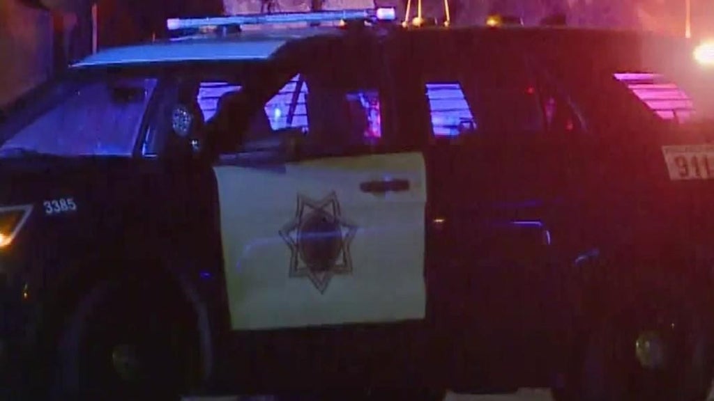 San Jose teens involved in traffic stop that preceded police shooting, attempted carjacking — CBS Bay Area (KPIX), Excelsior Schools news