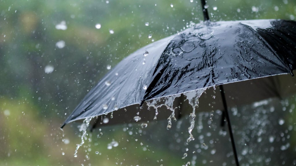Widespread rain in Minnesota Monday; milder air returns Tuesday — WCCO / CBS Minnesota, Excelsior Community news