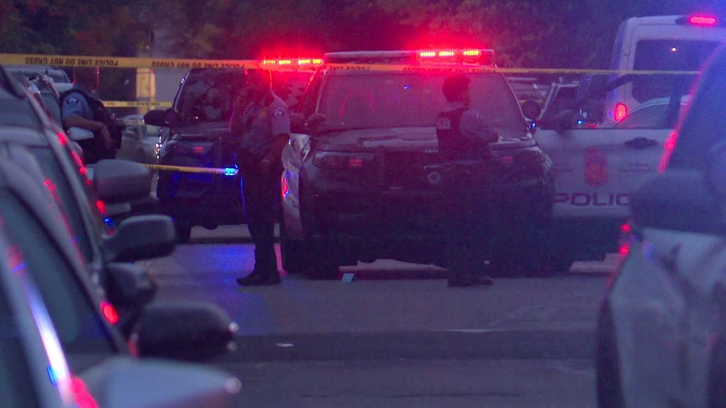 Officer fires gun after armed carjacking, squad car hit by stolen car — WCCO / CBS Minnesota, Excelsior Health news