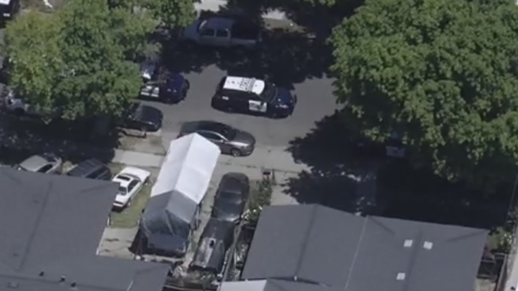 San Jose couple charged in 8-year-old girl's asthma-related death — CBS Bay Area (KPIX), Excelsior Health news