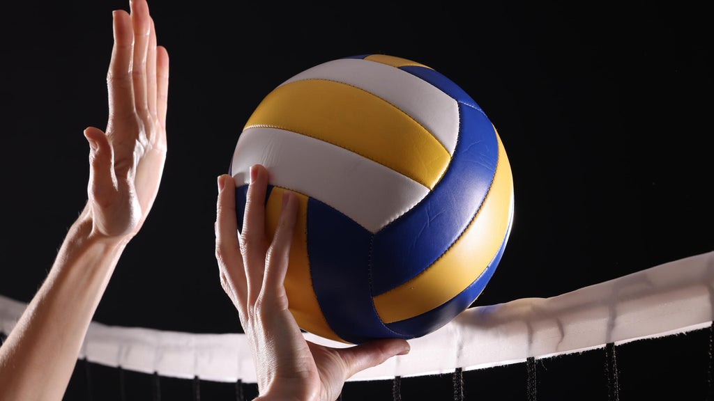 SeatGeek's first volleyball partner is the Minnesota Forge in a multiyear deal — WCCO / CBS Minnesota, Excelsior Business news