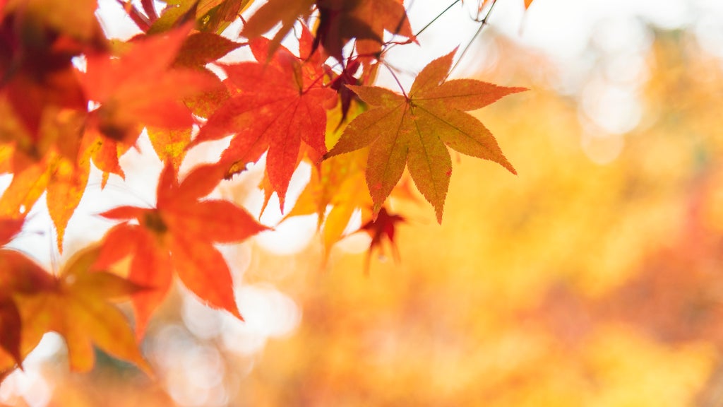 More sunny, mild late October weather in Minnesota Tuesday — WCCO / CBS Minnesota, Excelsior Business news