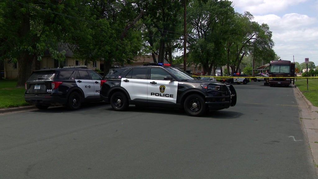 Man sentenced for killing cousin during fight in Bloomington driveway — WCCO / CBS Minnesota, Excelsior Community news