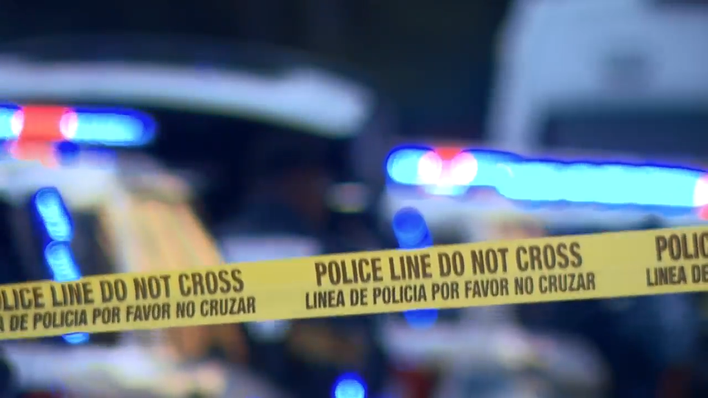 Man accused of stabbing, killing his own mother in Tamarac, BSO says — CBS Miami, Excelsior Health news