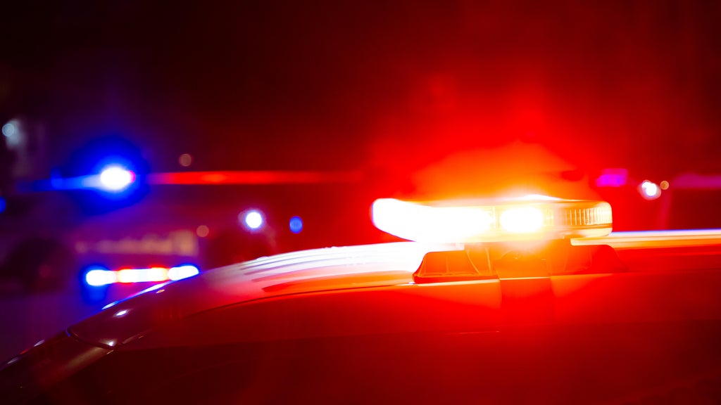 Driver killed in head-on collision with semi in central Minnesota — Excelsior Community news