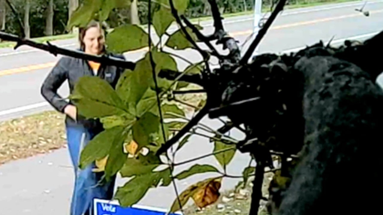 Video: Vadnais Heights council member removes mayoral candidate’s campaign sign, tosses it aside — KSTP 5, Excelsior Real Estate news