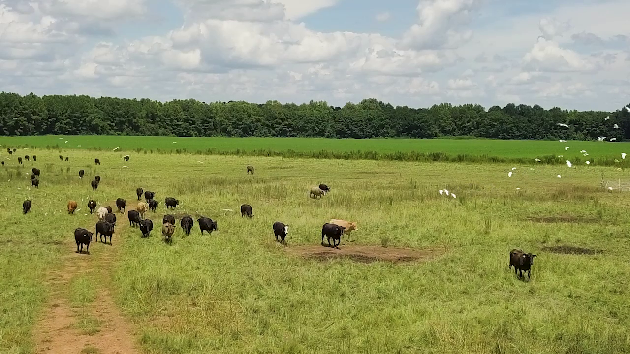5 ON YOUR SIDE: Regenerative agriculture — Excelsior Health news
