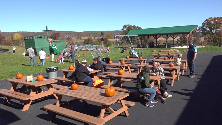 Outdoor festival in Columbia County brings together artists and businesses to connect with the community — WNEP 16 (Scranton/Wilkes-Barre), Excelsior Arts news