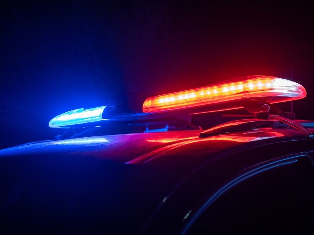 Police Training Taking Place In Coyote Hills, School In Fremont. What To Know — Piedmont Patch, Excelsior Schools news