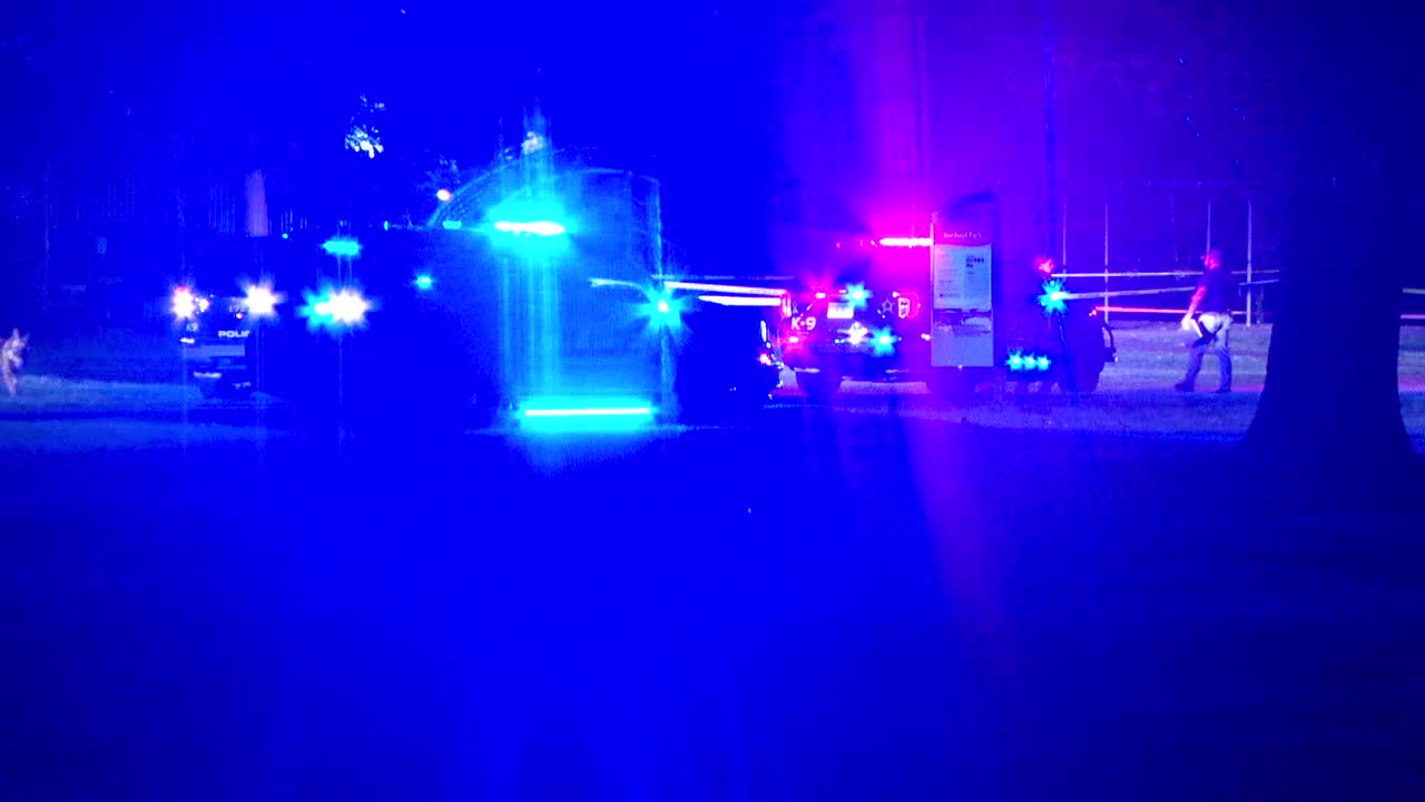 Brooklyn Park teen shooting suspect ordered to stand trial as adult — FOX 9, Excelsior Community news