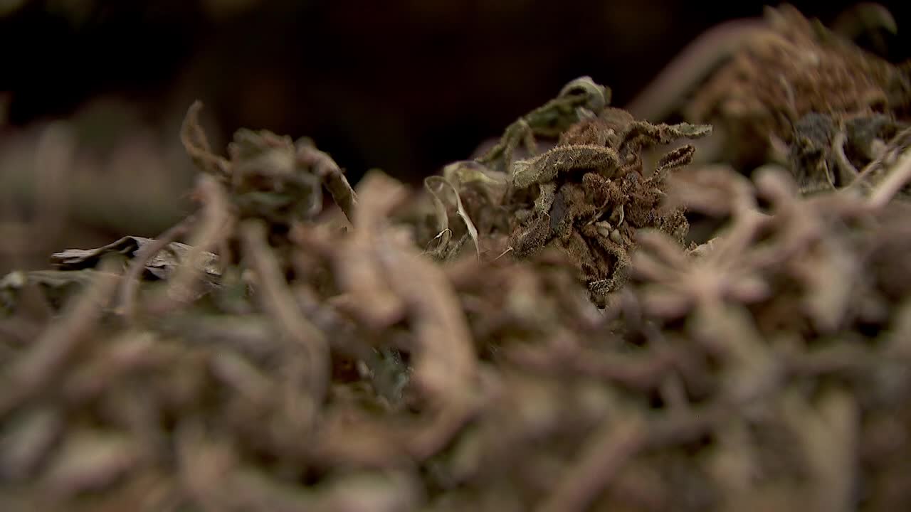 Hemp THC deadline hits $200 million industry, leads to layoffs, but liquor stores may maintain — FOX 9, Excelsior Business news