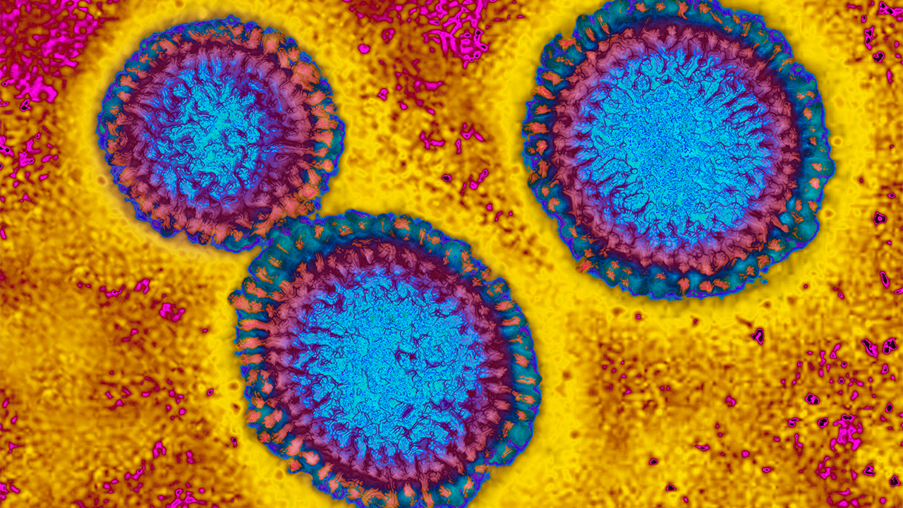 Flu hospitalizations 'slightly higher' than usual, officials urge vaccinations — FOX 9, Excelsior Health news