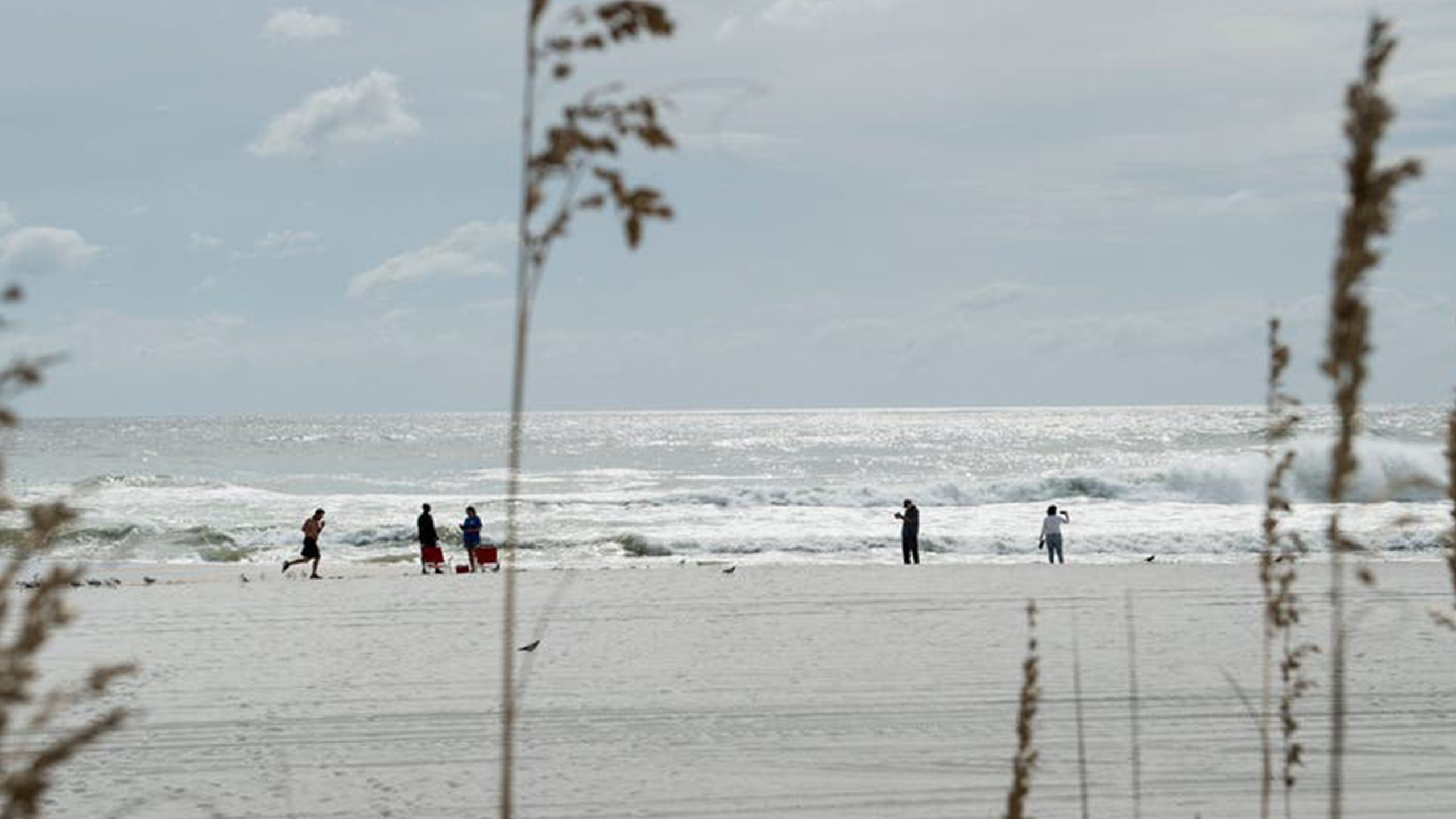 Father of 2 drowns after being caught in current trying to rescue seagull caught in fishing line — Excelsior Community news