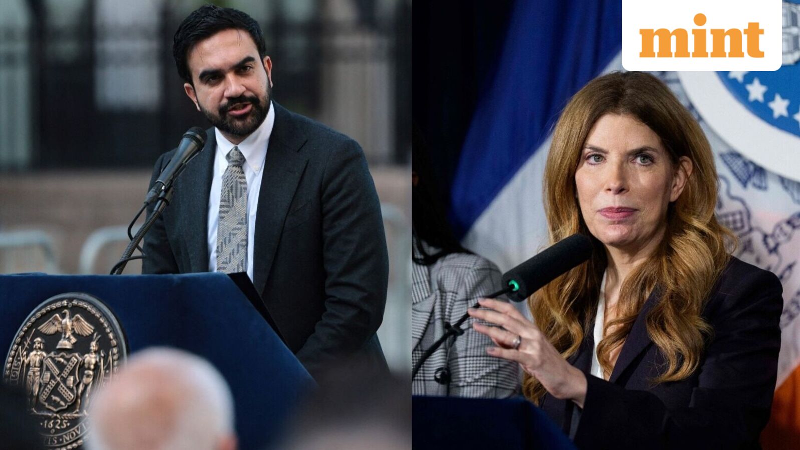 New York City's historic horse carriage rides to come to an end soon? All about Mayor Zohran Mamdani's latest move — Mint India, Excelsior Government news