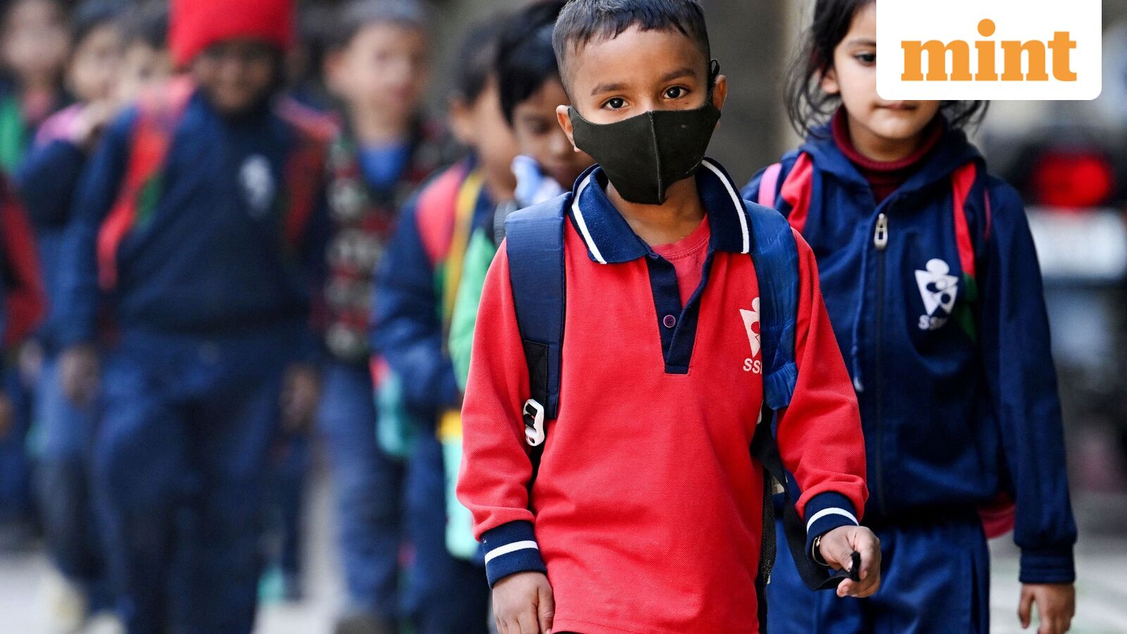 Chennai school holiday, Oct 21: Schools shut in four Tamil Nadu districts as heavy rains predicted | Check IMD alert — Mint India, Excelsior Schools news